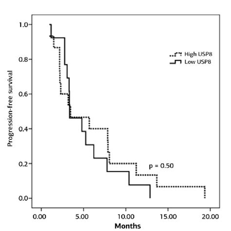 A Kaplan Meier Curves For Progression Free Survival In Relation To