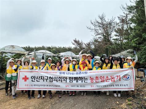 대한적십자사봉사회 안산지구협의회 봉사원과 함께 하는 ‘대부도 포도 농가 돕기 봉사활동경인투데이뉴스