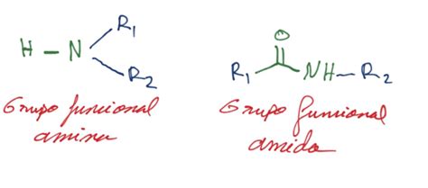 Descubrir La Qu Mica On Twitter La Diferencia Entre Las Aminas Y Las