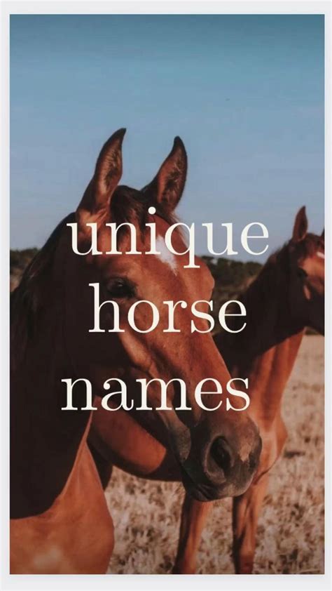 Horse names | Pinterest Rodeo Horses, Funny Horses, Cute Horses, Pretty ...