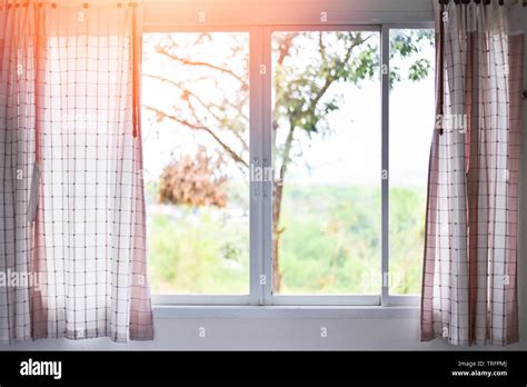 Sunlight Through In Room Open Curtains With Balcony And Nature Tree On Outside Window Bedroom