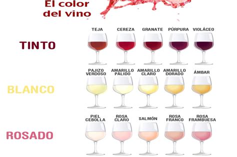 La cata de vinos Nociones básicas para disfrutar de una cata de vino