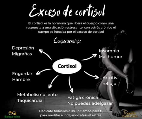 Exceso De Cortisol Bienestar Infinito