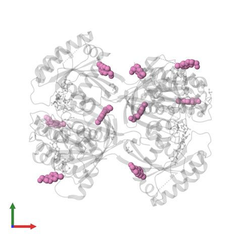 Pdb Oct Gallery Protein Data Bank In Europe Pdbe Embl Ebi