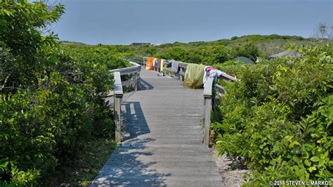 Fire Island National Seashore Watch Hill Campground