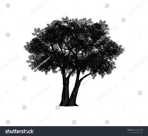 Beautiful Vector Tree Silhouette Outline Vector Stock Vector (Royalty Free) 1665020299 ...