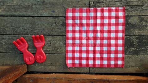 Manteles De Cuadros Rojos Y Blancos Para El Picnic Infantil Foto De