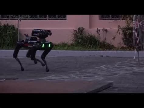 I Carabinieri Presentano Saetta Arruolato Il Primo Cane Robot Youtube