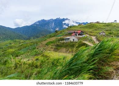 Greatest Mount Kinabalu View Kundasang Sabah Stock Photo 1184633779 ...