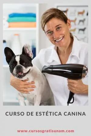 Curso de Estética Canina Gratis en Línea