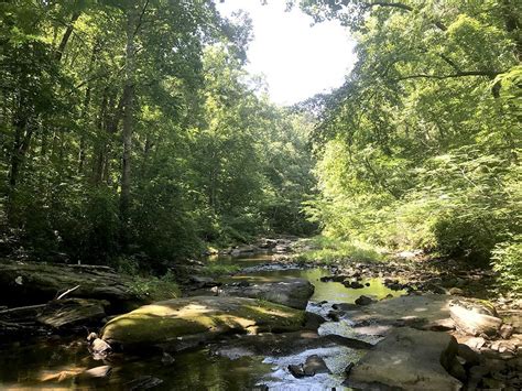 Bug Out Creek Country Tracts Alabama Land For Sale