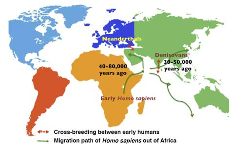 Egy Picit Mindannyian Neanderv Lgyiek Vagyunk Ipon Hu