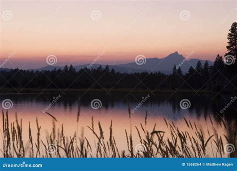 Forest Fire Sunset stock photo. Image of central, three - 1568264