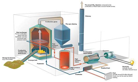 Renewable Energies Biomass Energy