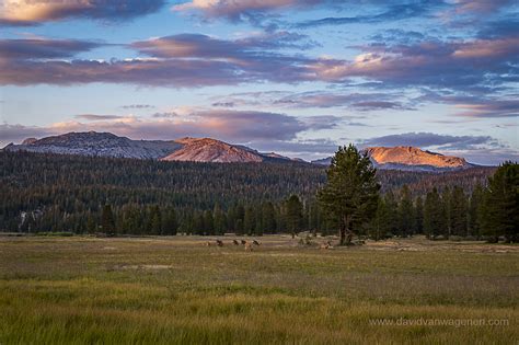 Tuolumne Meadows Sunset – David Van Wagenen