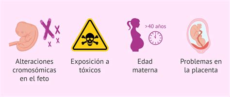 Amenaza De Aborto Causas S Ntomas Tratamiento Y Recomendaciones