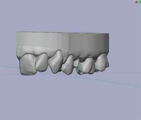 D Maxillary And Mandibular Dental Models Anatomical Teeth D Print