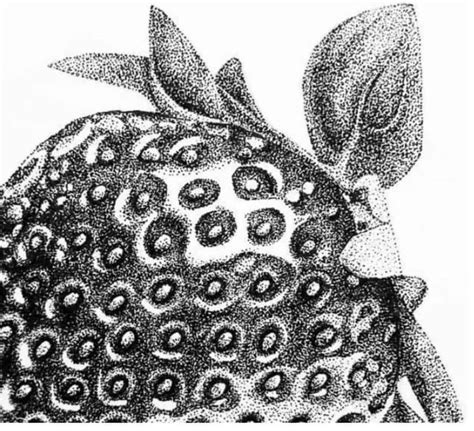 Pin By Jacquelines Jems On Art In Dotted Drawings Stippling