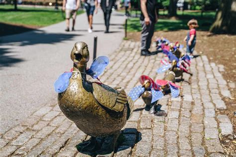 Boston Public Garden The Complete Guide