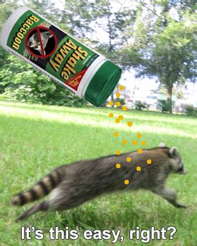 Raccoon Repellent - Natural Home Made Recipes and Tips - Humane Raccoon ...