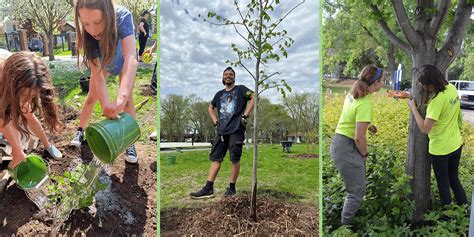 Urban Tree Care: Three Steps to Happy, Healthy Trees - Tree Trust