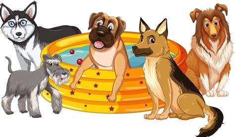 Cute Puppy Dogs In Rubber Swimming Pool 6093532 Vector Art At Vecteezy