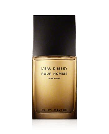 Issey Miyake L'Eau d'Issey pour Homme Noir Ambré Eau de Parfum Spray ...