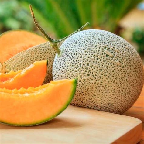 Semillas Melón Calameño Cuotas sin interés