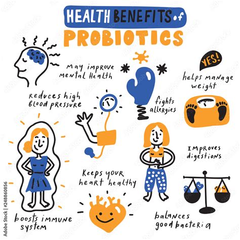 Health Benefits Of Probiotics Hand Drawn Infographic Poster Vector