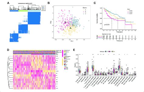 HCC Subtypes According To Cuproptosis Related Genes A The