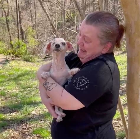 Elderly Dog Reunited With Owner After Going Missing For Three Years