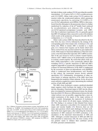 2008 molecular mechanism of enzymatic allene oxide cyclization in plants | PDF