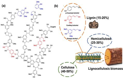 Lignin Upconversion By Functionalization And Network Formation