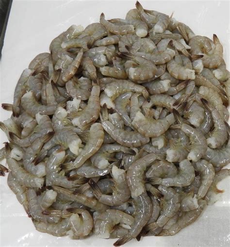 Headless Vannamei Shrimps Prawns Block Products At Price Inr In