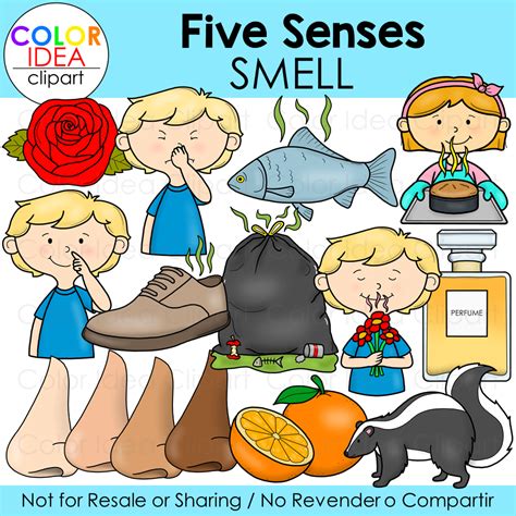 Five Senses Smell Clipart Health Clipart Clip Art Library