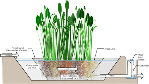 Water Flow Path Through A Subsurface Flow Constructed Wetland