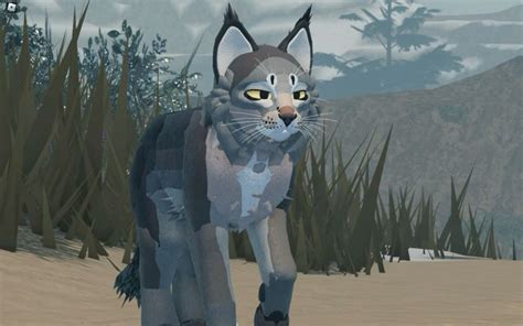 Wcue Dark Grey And Oyster Colored Morph In 2024 Warrior Cats Warrior