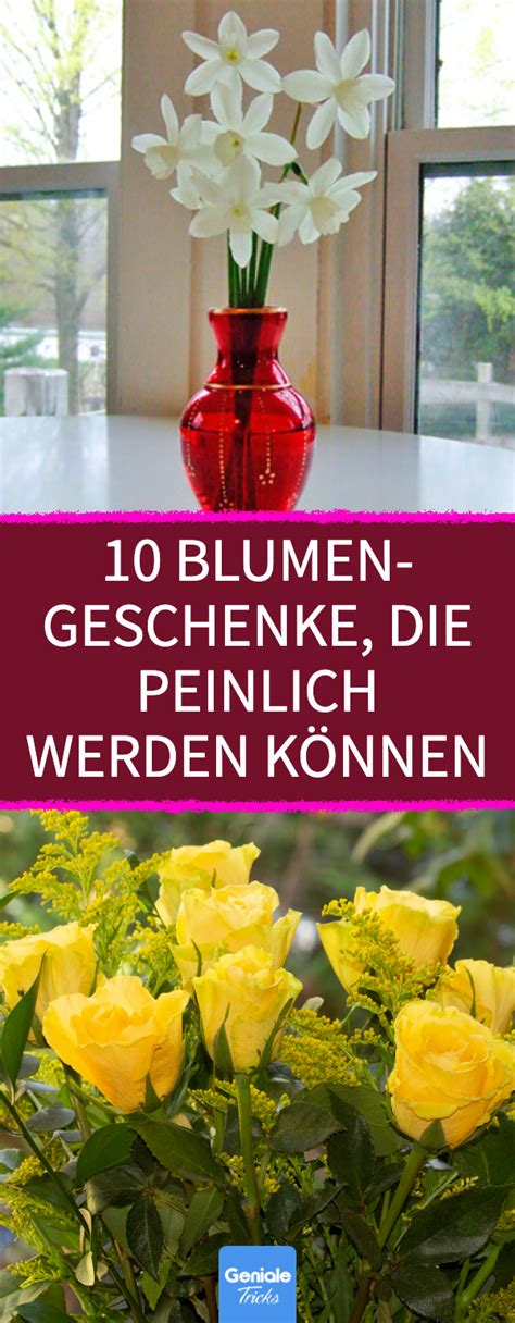 Pin Auf Pflanzen And Blumen Richtig Pflegen