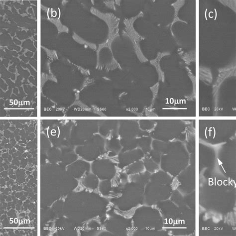 Sem Bse Micrographs Showing Die Cast Microstructure In A B And C Download Scientific