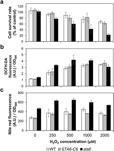 Effect Of Hydrogen Peroxide H O On Cell Viability And Lipid