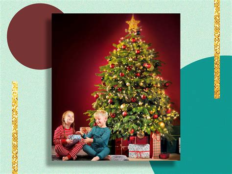 Aldi real Christmas tree: Affordable real fir trees | The Independent