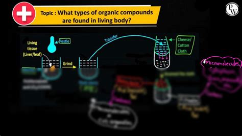 Solution Biomolecules One Shot Class Notes Neet Mind Map Studypool