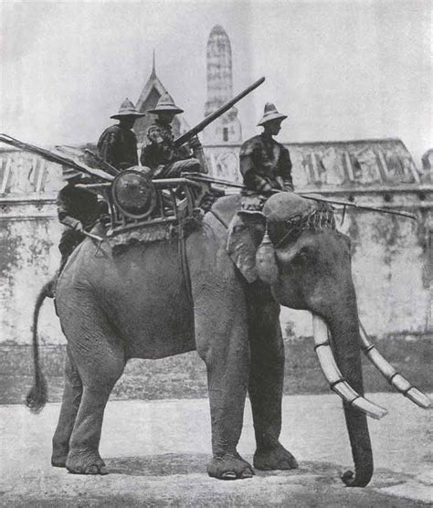 Elephant Mounted Cannons Really Existed Raskhistorians