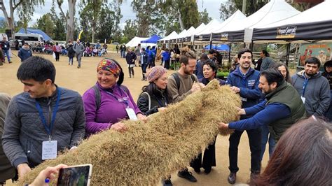 Catapilco Centenar de jóvenes rurales de la región de Valparaíso se