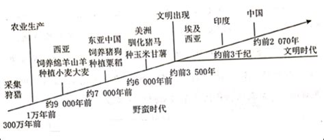 阅读材料，完成下列要求。（12分） 材料 下图是人类社会早期 试题信息