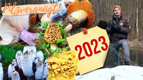 Der große Pilz Ausblick 2023 wann wo sind welche Pilzarten zu