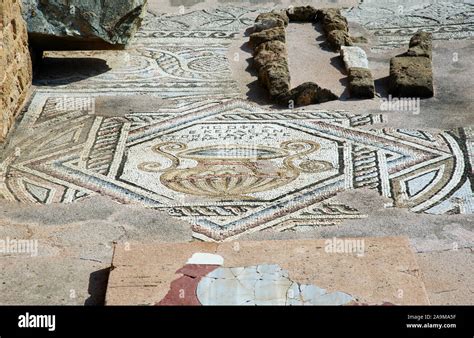 Paphos Mosaiken Fotos Und Bildmaterial In Hoher Aufl Sung Alamy