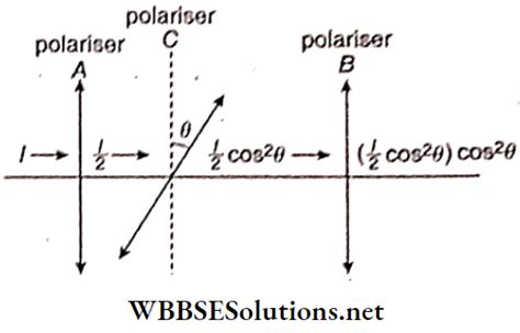 Wbchse Class 12 Physics Diffraction And Polarisation Of Light Multiple Choice Questions Wbbse