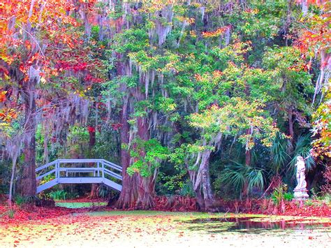 Magnolia Gardens Photograph By Pat Exum Fine Art America