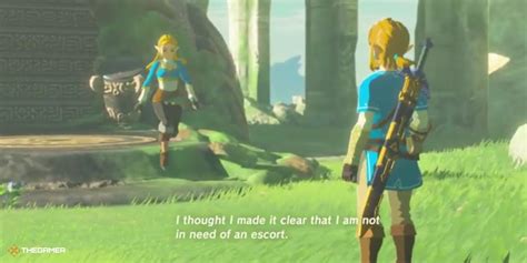 Everything You Need To Know About Link And Zeldas Relationship